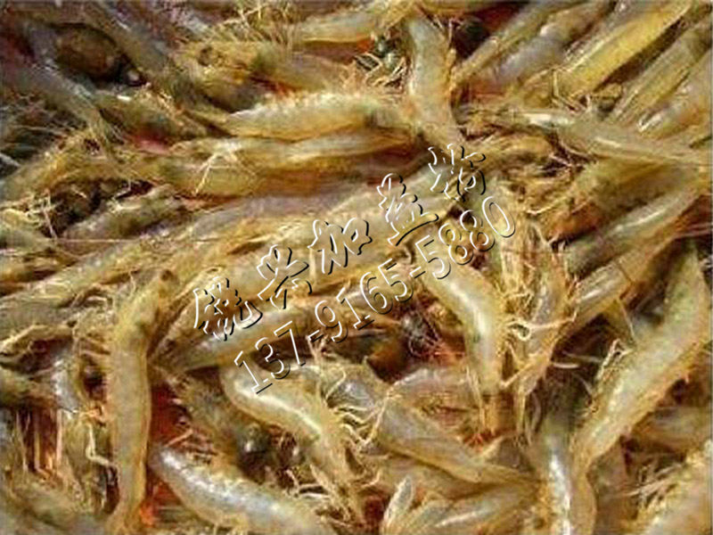 畜牧業(yè)案例